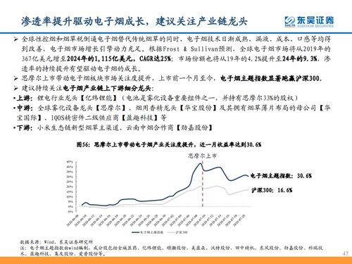 東吳證券 從思摩爾看電子煙黃金時代——計算機(jī)批發(fā)視角
