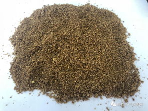 魚價(jià)低迷期如何降低餌料成本？養(yǎng)殖戶必看的實(shí)用策略