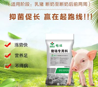 生豬產量大省再遇挑戰 湖北飼料問題引發產業關注