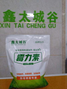 聚焦飼料產業發展 太谷縣北汪鄉白城村鑫太城谷飼料原料營銷部的經營之道